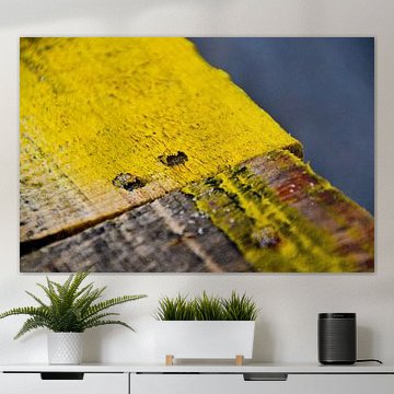 Detail of pallet washed ashore on Maasvlakte beach