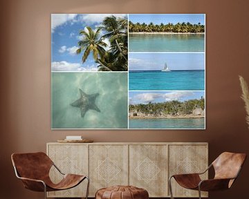 Collage de photos de vacances dans les Caraïbes