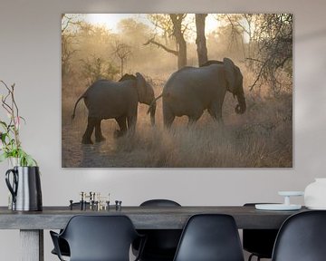 Elephants at sunrise by Roelinda Tip