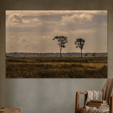 Dwingelderveld National Park