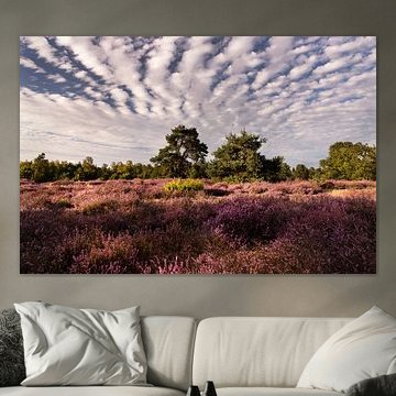 Leenderheide moorland in North Brabant by Marianne van der Zee