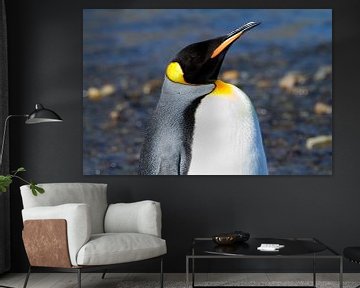 Pinguin Portrait von Angelika Stern