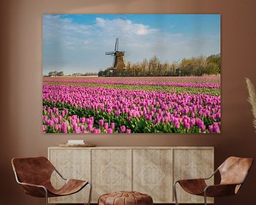 Tulpen velden met molen. van Roelinda Tip