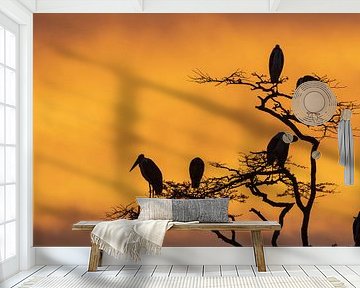 LP 71322194 Maraboe-ooievaars zittend op een boom bij zonsopgang van BeeldigBeeld Food & Lifestyle