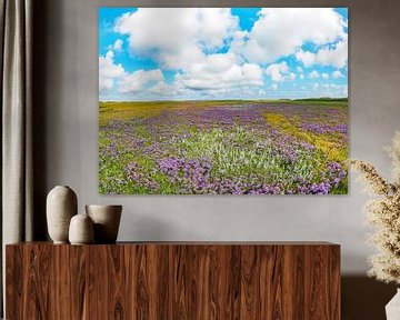 Flowering sea lavender on Boschplaat Terschelling by Jan Huneman