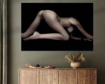 Low Key Bodyscape van een vrouw Vrouw Billen Vagina in Kleur van Art By Dominic