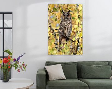 Le hibou des marais en automne sur Beschermingswerk voor aan uw muur