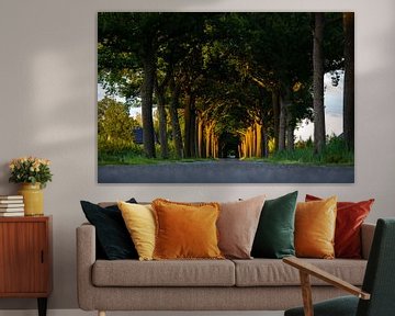 Das letzte Sonnenlicht färbt die Bäume von Robbie Veldwijk