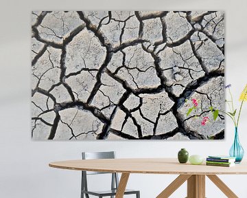 Cracked ground by Marieke van der Hoek-Vijfvinkel