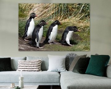 Grappige Rockhopper Pinguïns van Angelika Stern