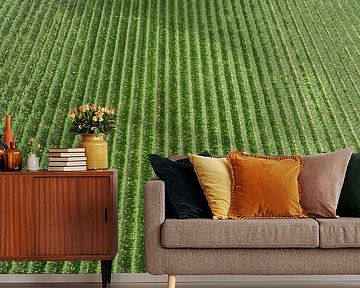 Birnen, Birnen und noch mehr Birnen... von Studio Retouched fotoshop