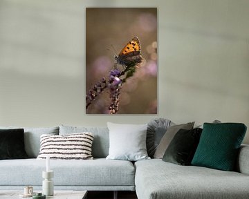 Kleiner Schmetterling im Moor von KB Design & Photography (Karen Brouwer)