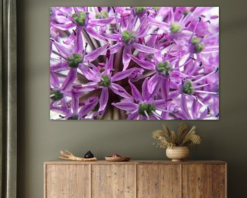 Fleur pourpre