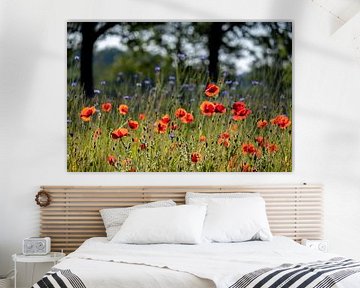 Field of poppies and cornflowers by Noud de Greef