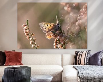 Dreamy picture of a small butterfly on the heath by KB Design & Photography (Karen Brouwer)