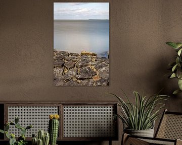 Stil leven aan de Waddenkust