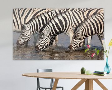 Zebra's bij de waterpoel van Angelika Stern
