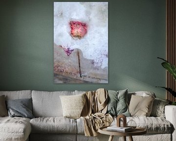 Bevroren Roos | Roze | Fine Art Fotografie