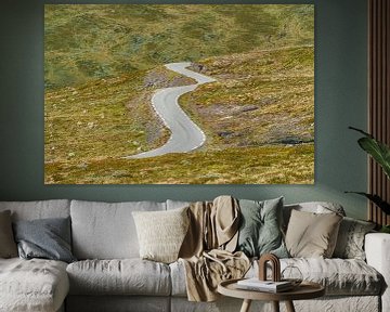 Winding road in mountainous area.