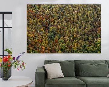 Forêt d'automne sur Axel Weidner