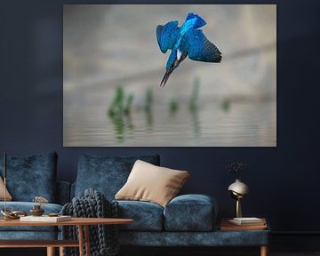 IJsvogel - In een flits van IJsvogels.nl - Corné van Oosterhout