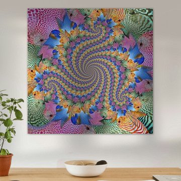 Trio Spirale des Fische-Quartetts