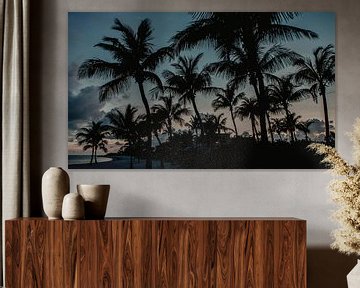 Palm trees Key West