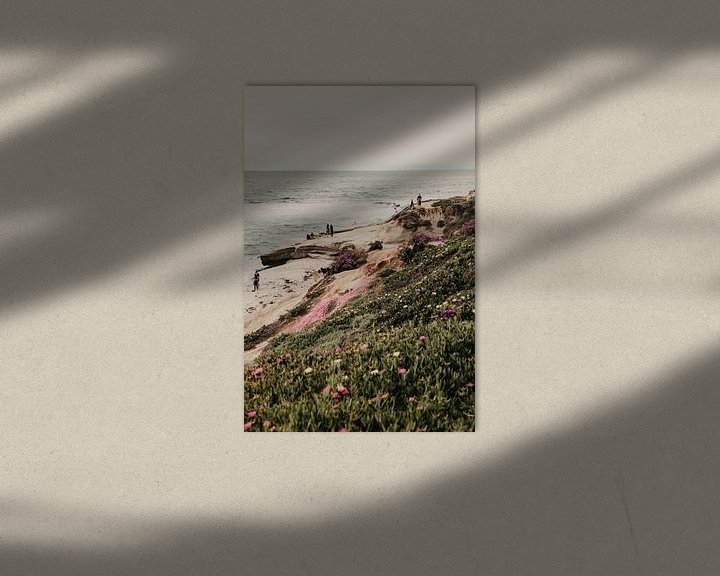 Sfeerimpressie: La Jolla Beach Californië van Amber den Oudsten