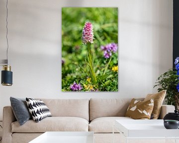 Orchid in a flower meadow by Coen Weesjes