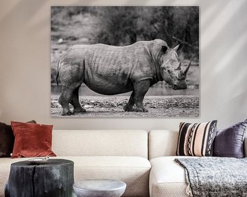 Rhinocéros blanc en noir et blanc sur Bouke Lolkema