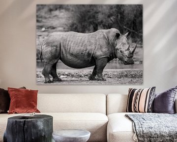 White rhino in black and white by Bouke Lolkema