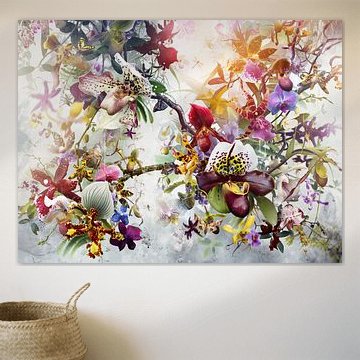 Séduction sur Jesper Krijgsman