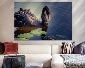 The Black Swan by GerART Photography & Designs