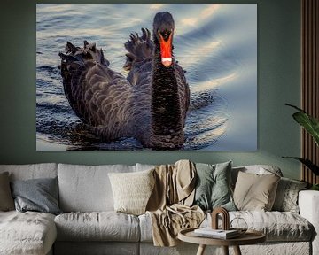 Black Swan van GerART Photography & Designs