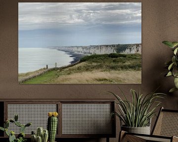 Falaises de Normandie sur Willem van den Berge