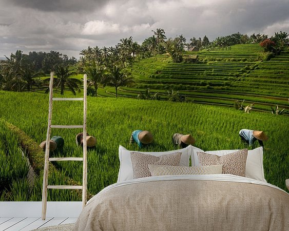 Aperçu de la chambre