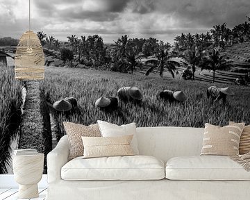 Black and white photo of workers in rice field Bali by Ellis Peeters