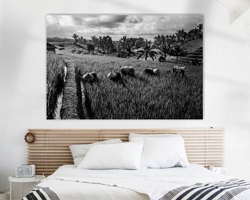 Schwarz-Weiß-Foto von Arbeitern im Reisfeld Bali von Ellis Peeters