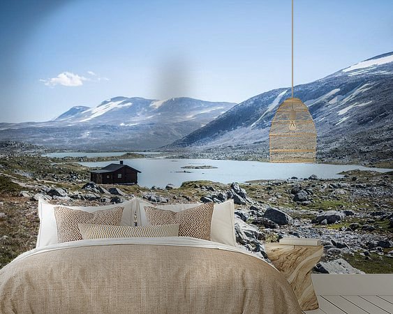 Aperçu de la chambre