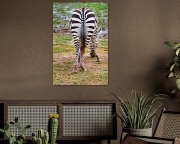 Mooie paardenstaart van een zebra..... van Monique van Helden