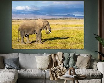 Een olifant in het landschap van Kenia. van Monique van Helden