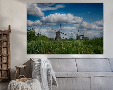 There at the windmills (Kinderdijk)