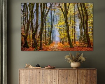 Herfst in Nederland van Lars van de Goor