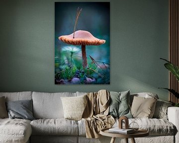 Schicker Champignon von Jayzon Photo