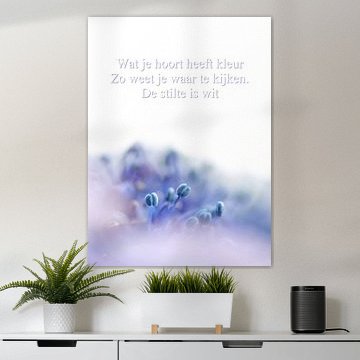 Wat je hoort heeft kleur