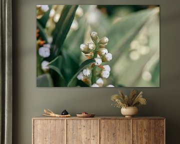 Mooie macro natuurfoto van plant met bloemen van Jennifer Petterson