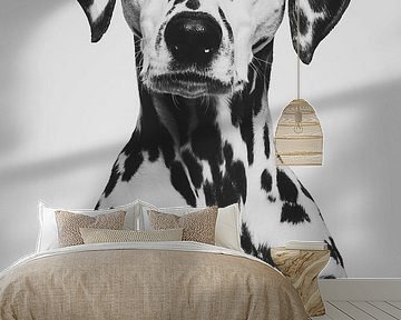 Fine art portrait of a dalmatier dog in black and white by Lotte van Alderen