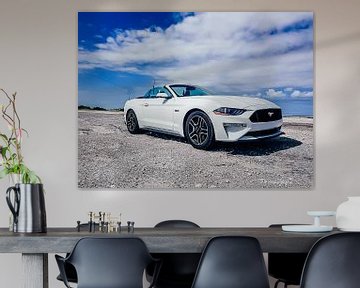 Cooles Bild eines schönen weißen Mustang GT Cabrios von Jennifer Petterson