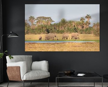 Groep olifanten lopend langs de rand van een moeras in Kenia van Nature in Stock