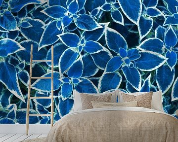 Blaue Blätter (Blätter in Blau) von Caroline Lichthart